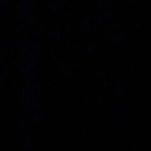 Meet your Posher, Gianna